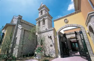 ラシュレディアコート