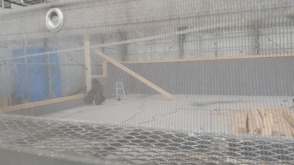 DSC_0155_20231120165855