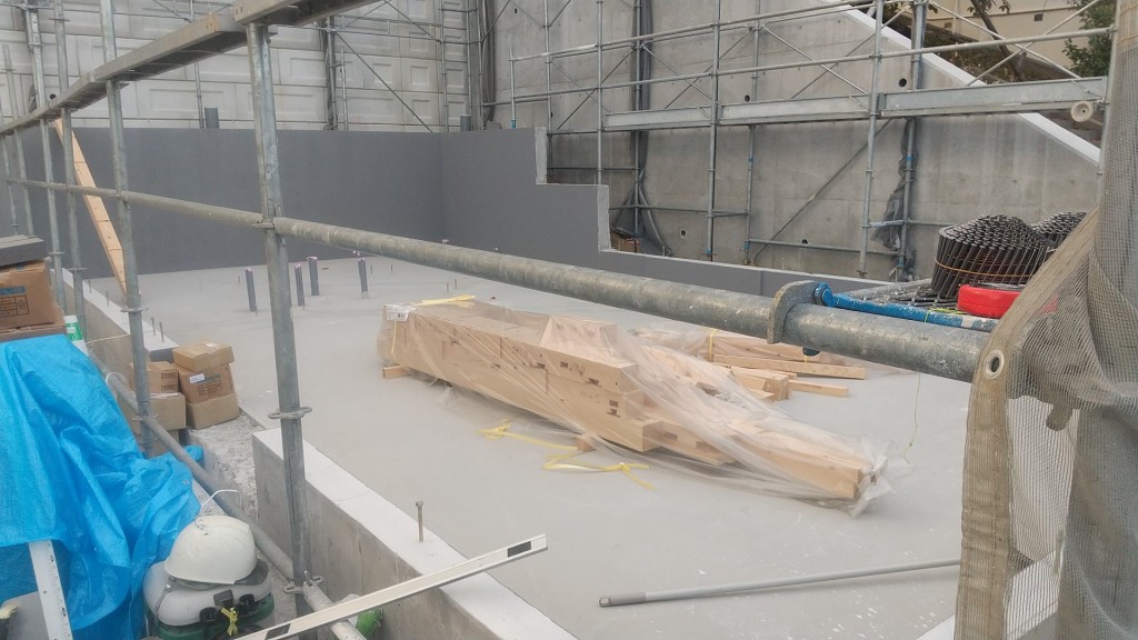 DSC_0156_20231120165942