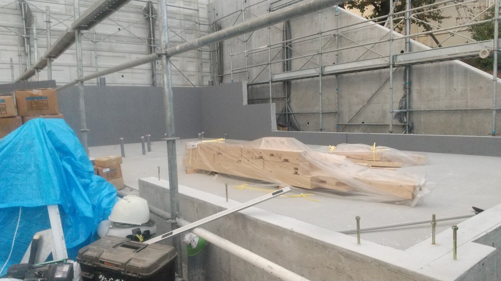 DSC_0158_20231120170009