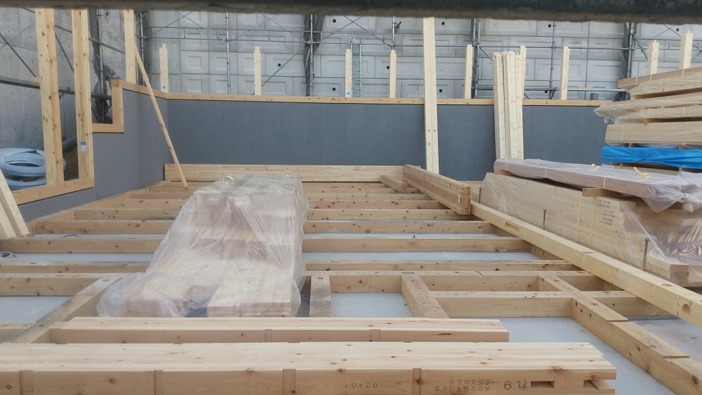 DSC_0181_20231128140823