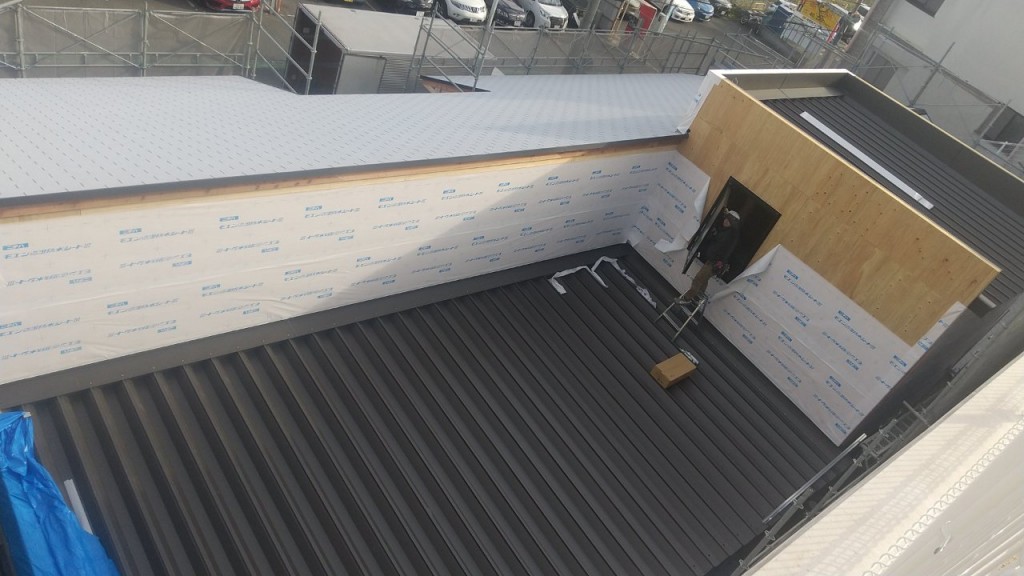 DSC_0225_20231214015228