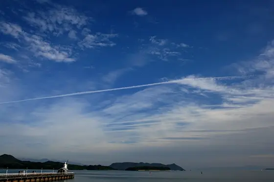 玉泉院お客様の声